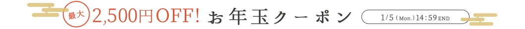 クリスマスクーポン MAX2,000円OFF