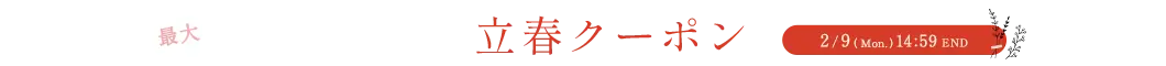 立春クーポンMAX2,000円OFF