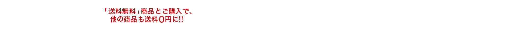 送料無料アイテム