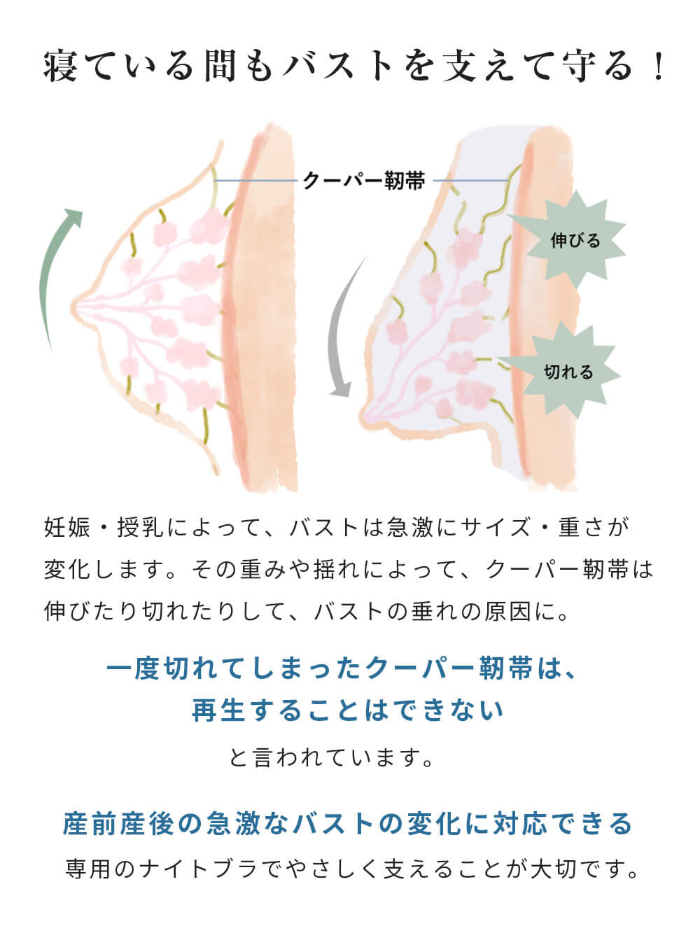 抗菌防臭 らくちん美ナイトブラ 授乳ブラ 極上綿混モダール【出産後も長く使える】 | マタニティブラ(品番：24755)  ｜マタニティウェア・授乳服通販｜ エンジェリーベ 公式