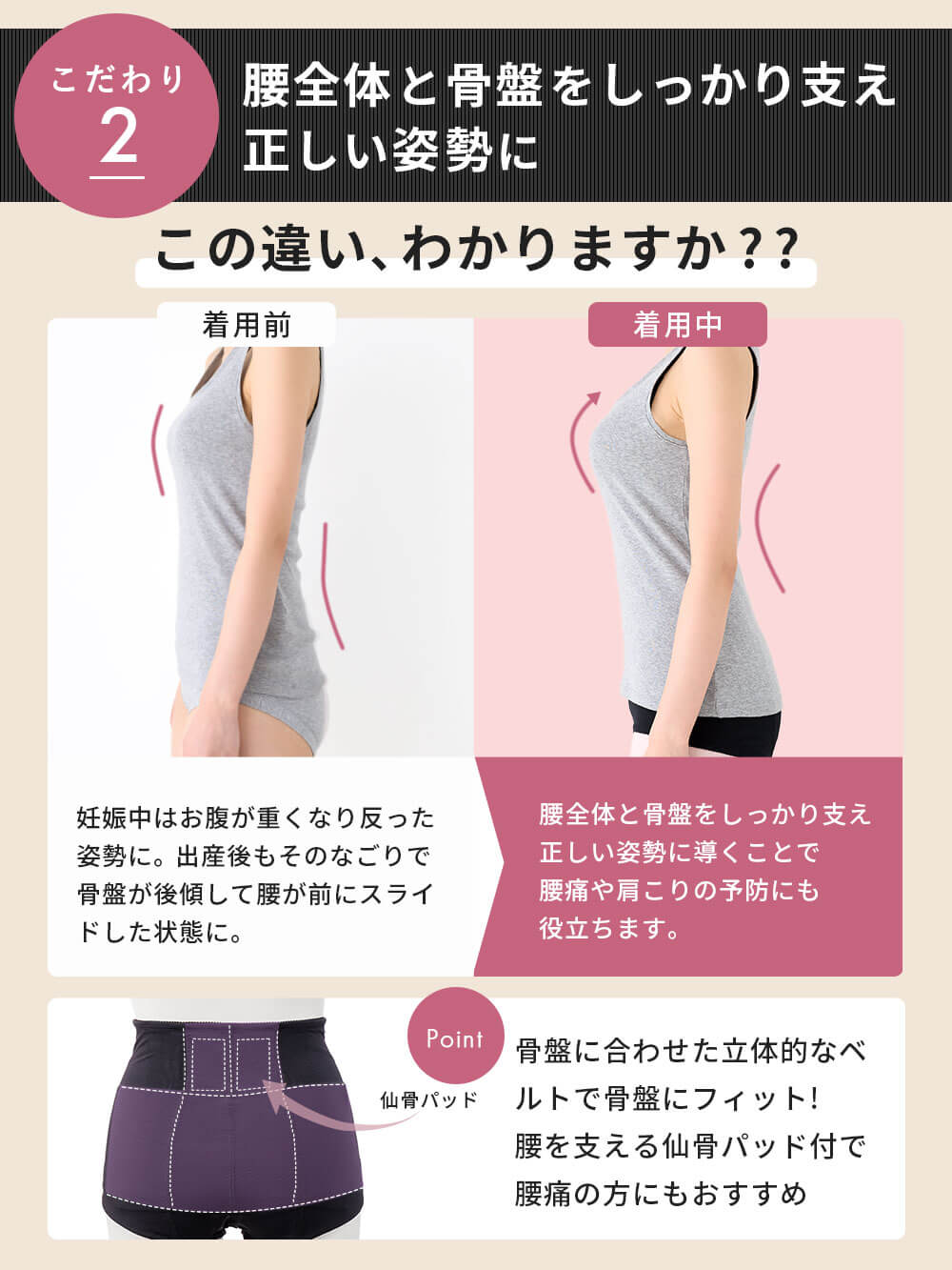 腰全体と骨盤をしっかり支え正しい姿勢に