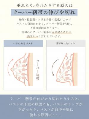 授乳ブラ・マタニティブラ（マタニティインナー・産後用品）|ストレスフリー　前開きシームレスカップ授乳ブラ　脇高　垂れ防止 ｜ マタニティ・授乳ブラ脇高