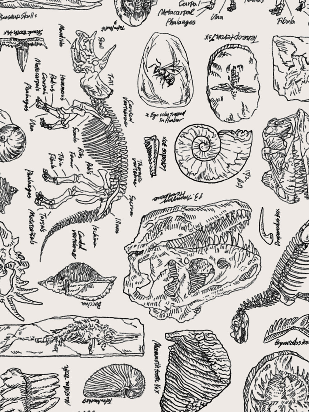 マタニティ 美容・コスメ・雑貨|HaNT/ハント こどもと旅するスーツケース 50L ace. エース|ブラック