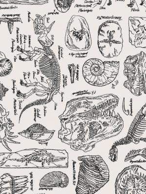 マタニティ 美容・コスメ・雑貨|HaNT/ハント こどもと旅するスーツケース 70L ace. エース|ブラック