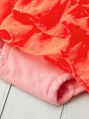 ベビー ブルマ|【ベビー服】Caldia(カルディア)フリルブルマ&巾着セット|出産 祝い