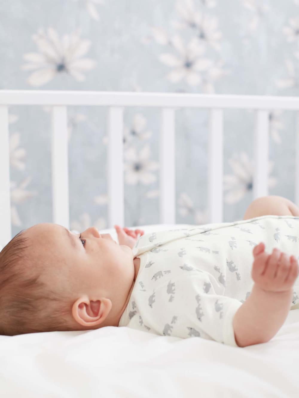 コンビ肌着・新生児/ベビー肌着|【日本製】【Anna Nicola】プリントボディ|クマ