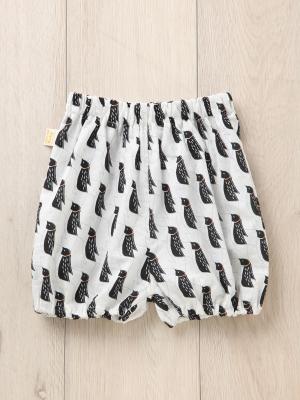 ベビー ブルマ|【日本製】ANGELIEBEオリジナル  プリントブルマ|ペンギンホワイト