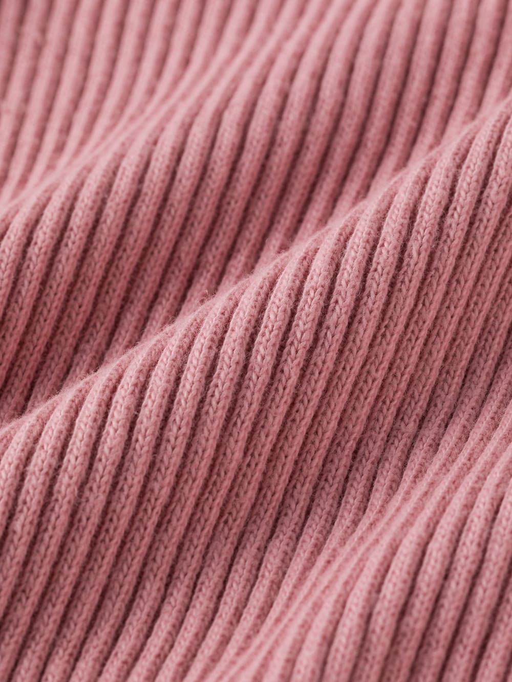 アウトレット|La Stella（ラ ステラ）フリル付タートルボディ