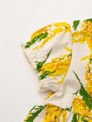 ベビートップス|maarook（マルーク）ミモザトップス＆ブルマ2点セット