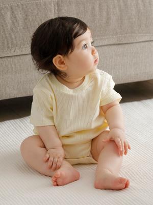 【親子コーデ可】ANGELIEBEオリジナル  リブテレコベーシック半袖ボディ