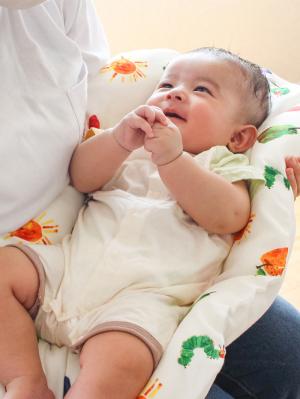 ベビーベッド・布団|【はらぺこあおむし】 抱っこ布団