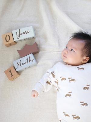 メモリアルグッズ|【amanoppo】アニバーサリーつみき coccole story