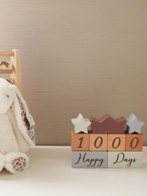 メモリアルグッズ|【amanoppo】アニバーサリーつみき coccole story