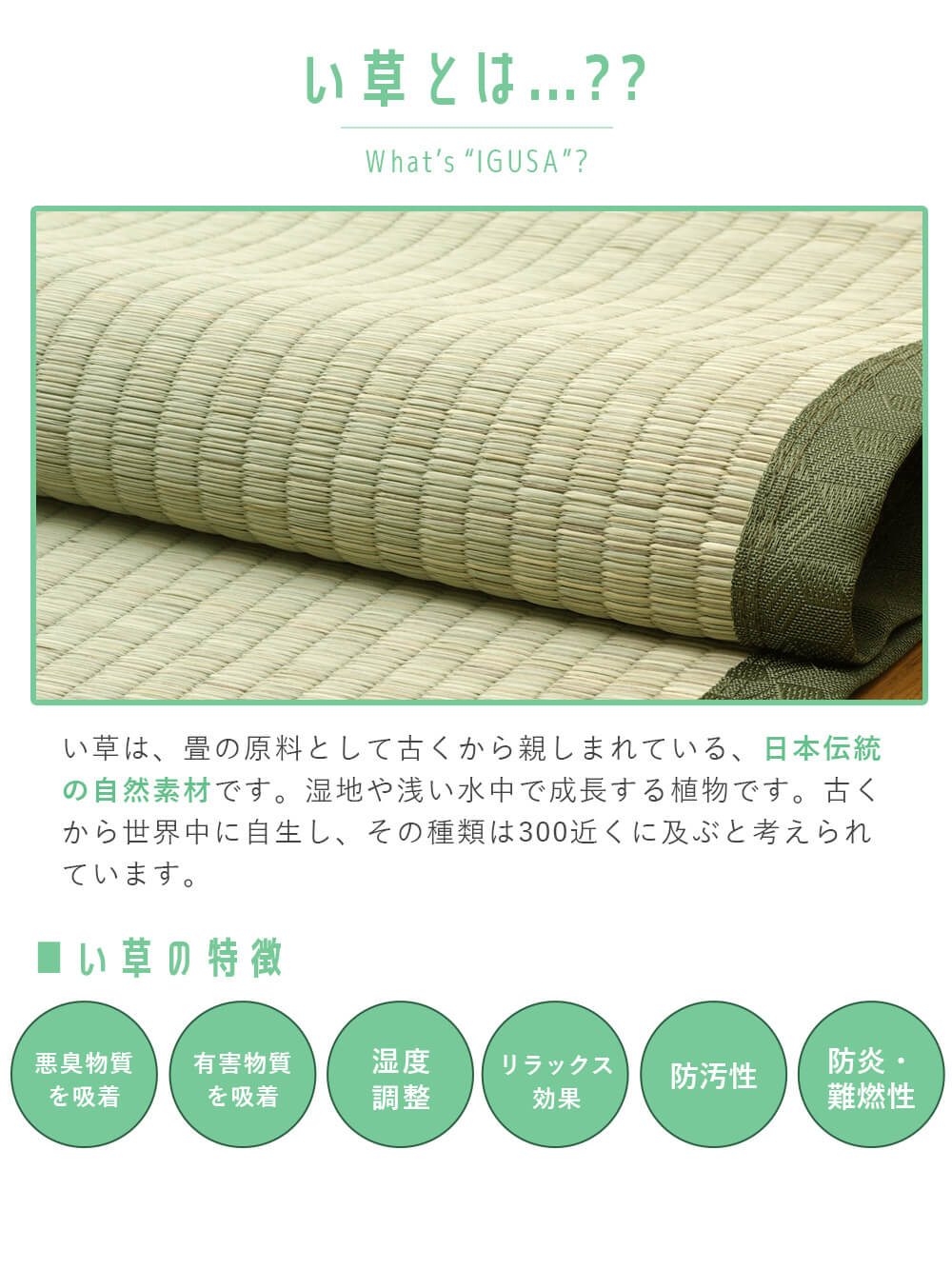 プレイマット・ベビー マット|ベビー用い草マット（デニムスター）