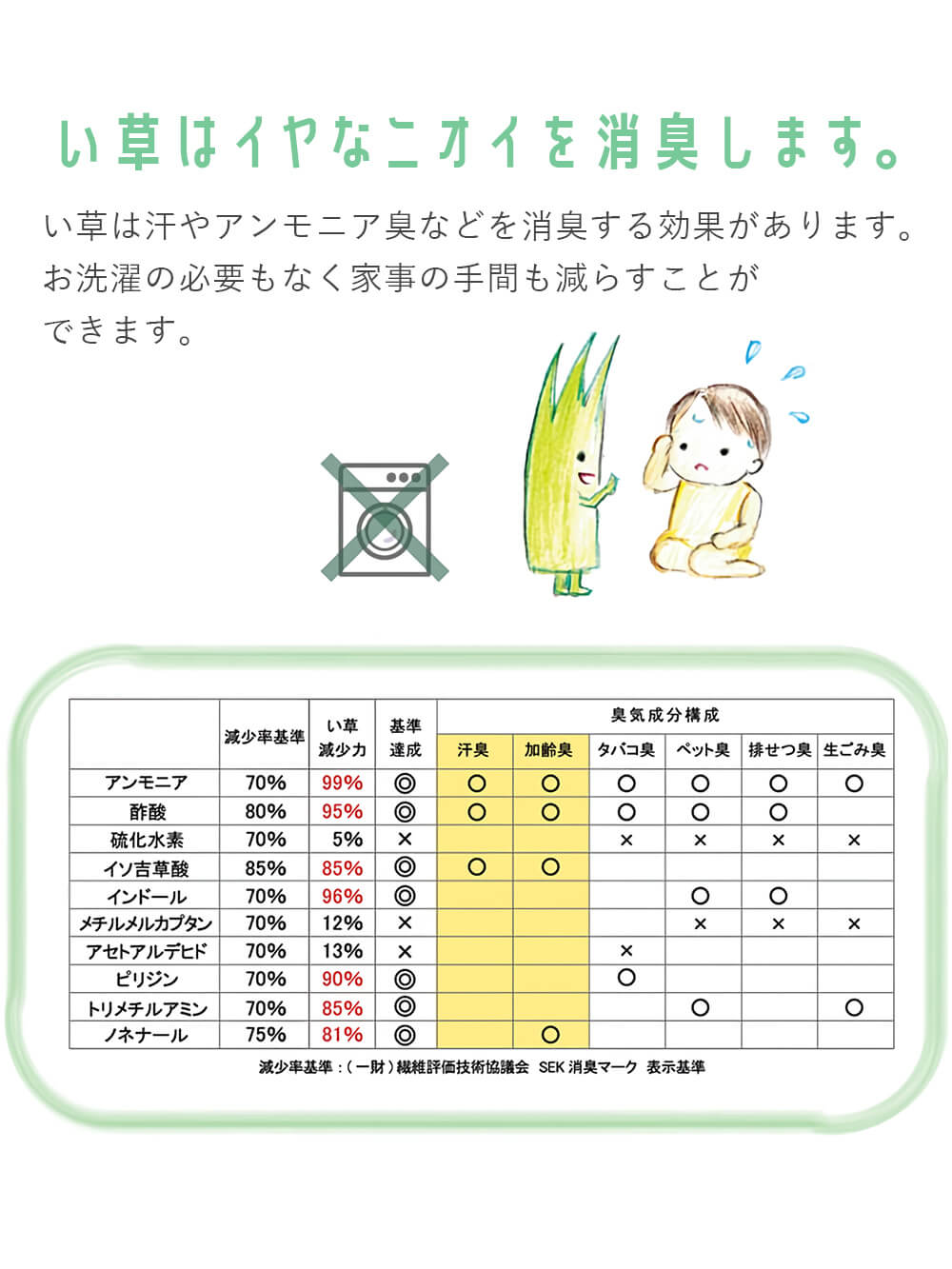 プレイマット・ベビー マット|ベビー用い草マット（デニムスター）