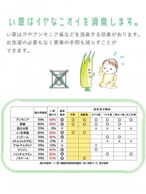 プレイマット・ベビー マット|ベビー用い草マット（デニムスター）