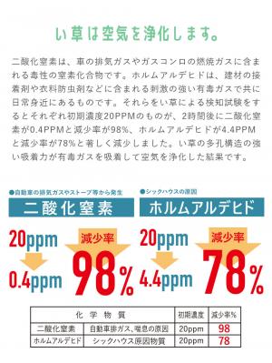 プレイマット・ベビー マット|ベビー用い草マット（デニムスター）