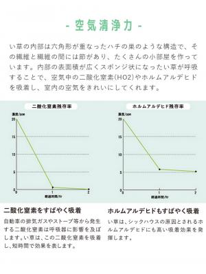 プレイマット・ベビー マット|ベビー用い草マット（デニムスター）
