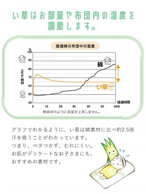 プレイマット・ベビー マット|ベビー用い草マット（デニムスター）