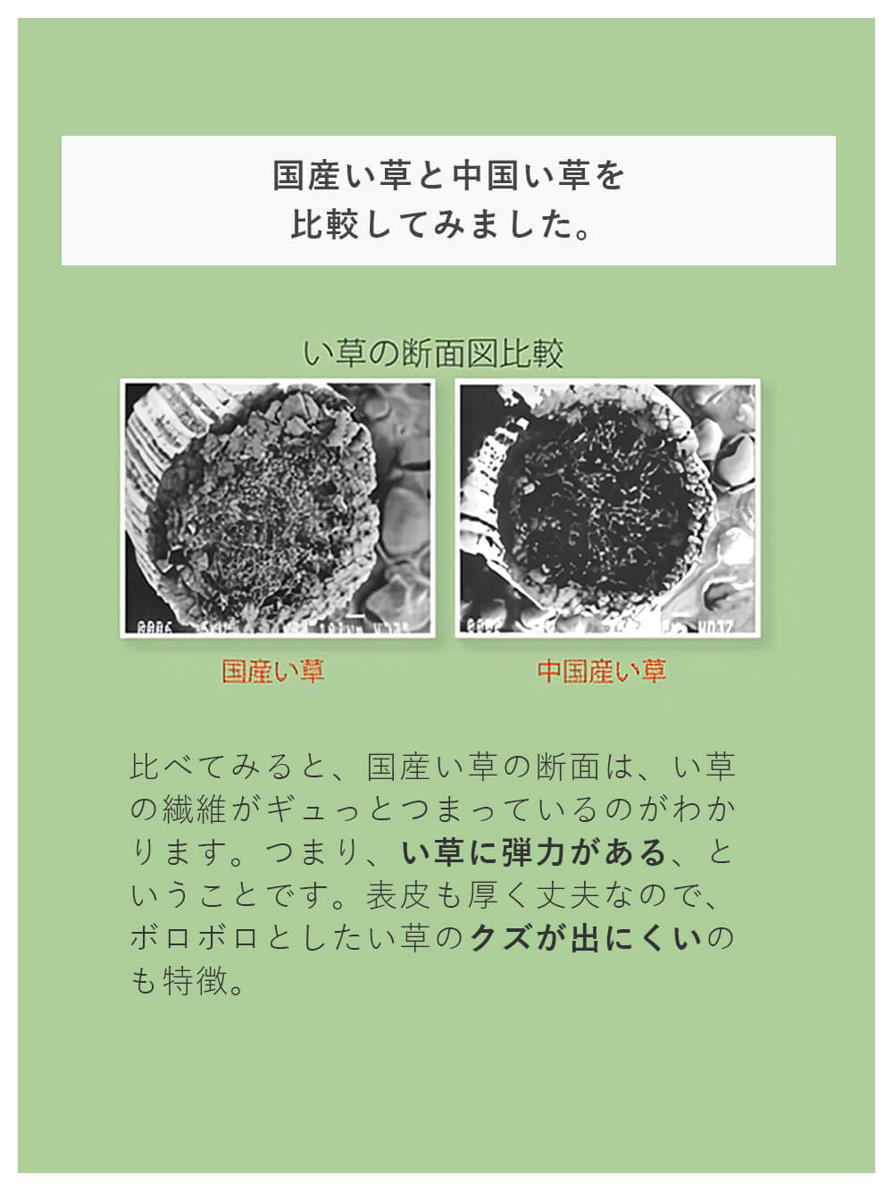 プレイマット・ベビー マット|あぐら4枚セット（置き畳）