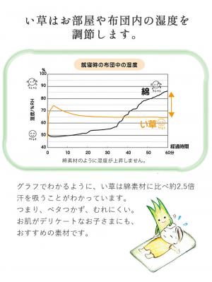 プレイマット・ベビー マット|あぐら4枚セット（置き畳）