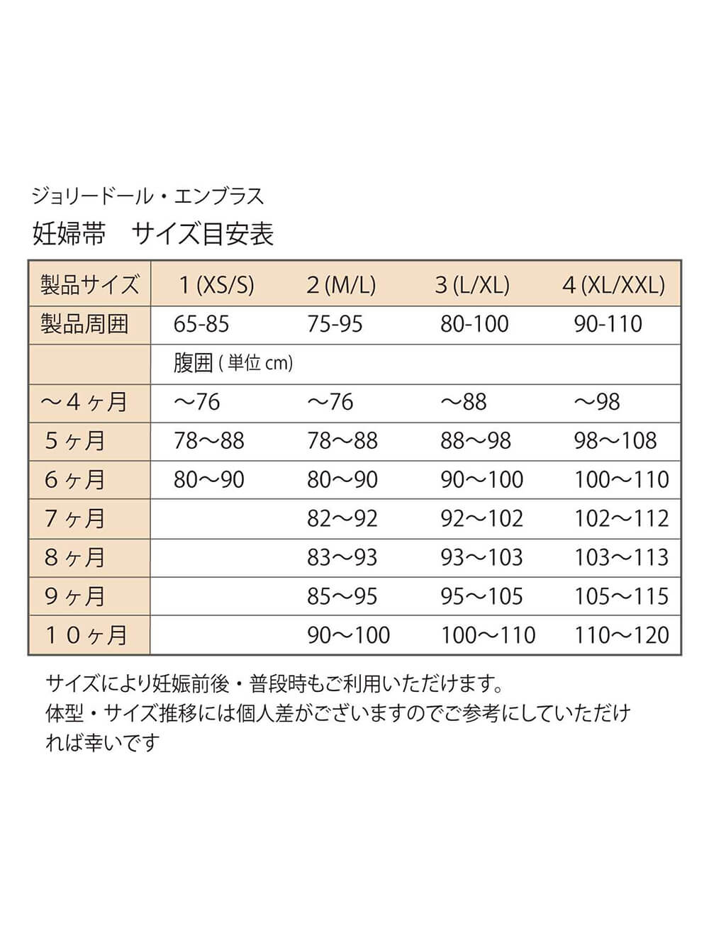 サイズ目安