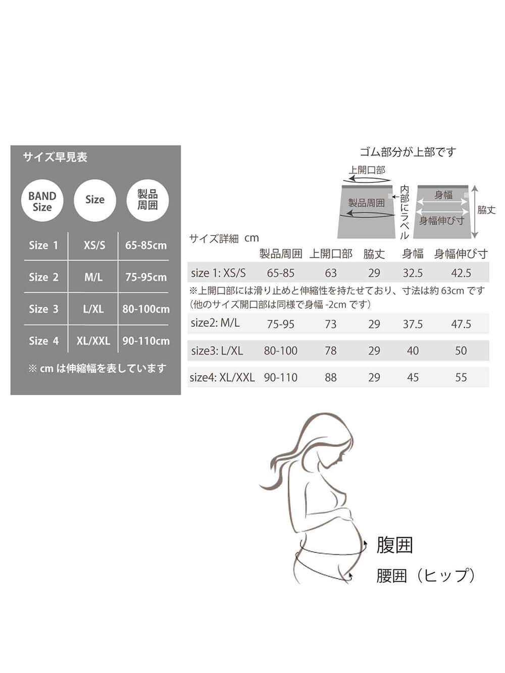 サイズ目安