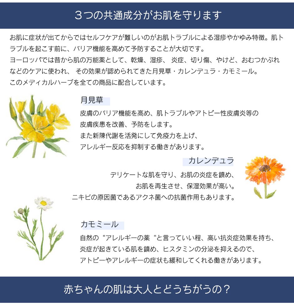【Modish】ママズケア ベビーモイストローション