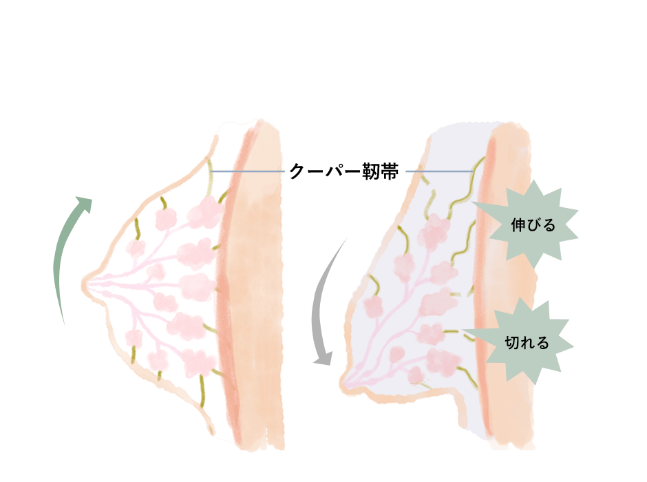 寝ている間もバストを支えて守る